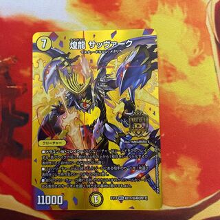 煌龍 サッヴァーク