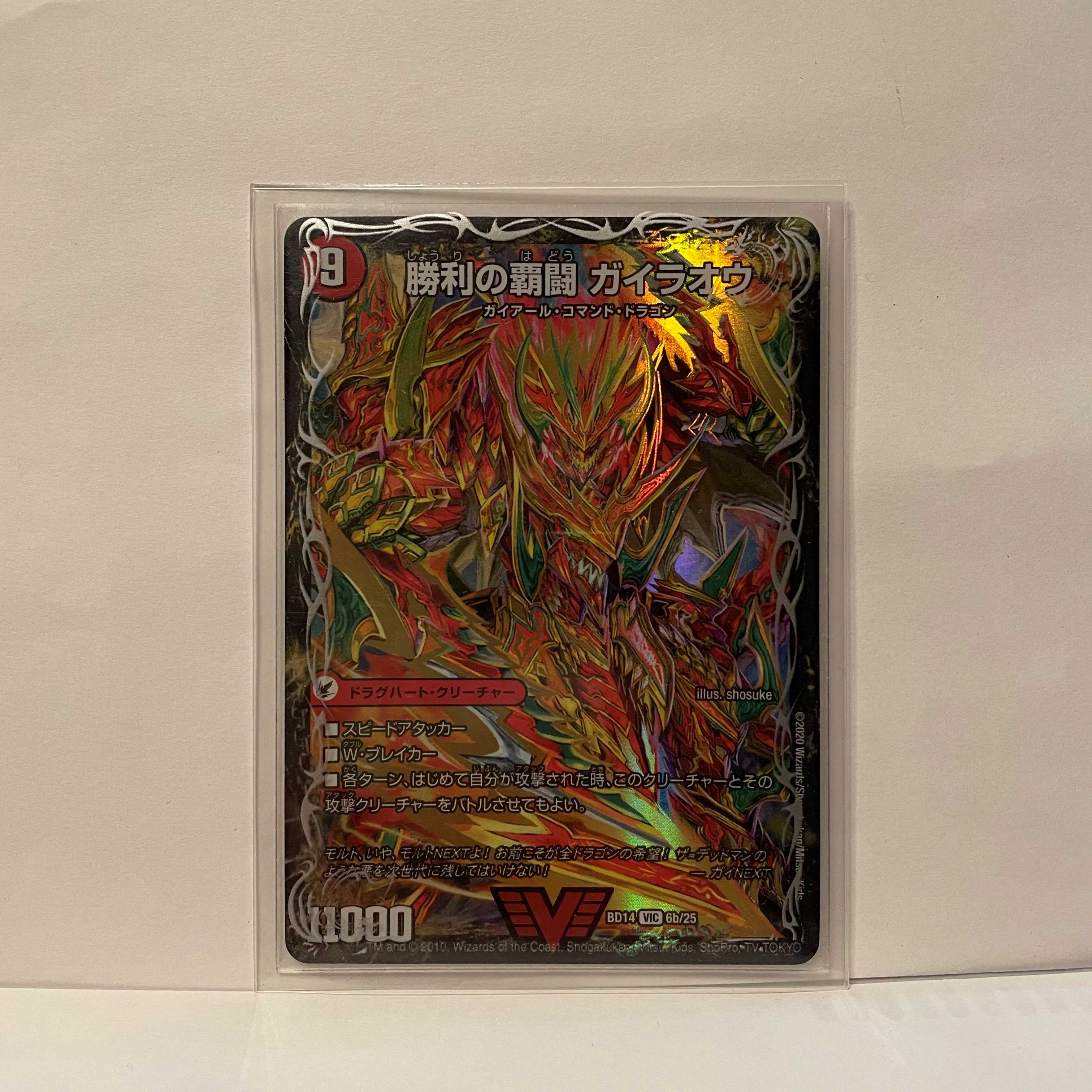 勝利の覇闘 ガイラオウ/覇闘将龍剣 ガイオウバーン