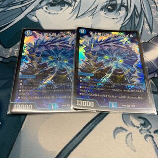 水上第九院 シャコガイル