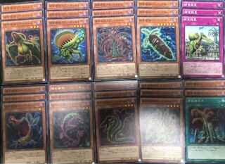 遊戯王　捕食植物　デッキパーツ　30枚セット