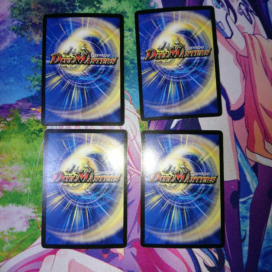 キリモミヤマアラシ4枚