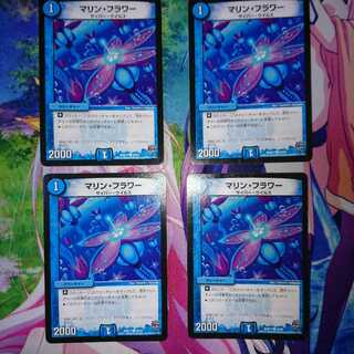 マリンフラワー4枚 Tアナーゴ3枚