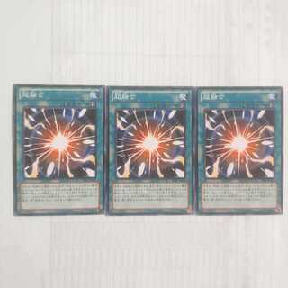 221 超融合 3枚 鮭イクラ商店