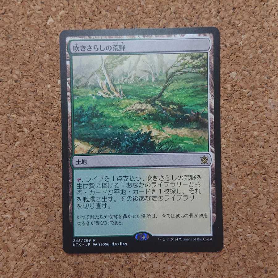 MTG Windswept Heath [KTK].