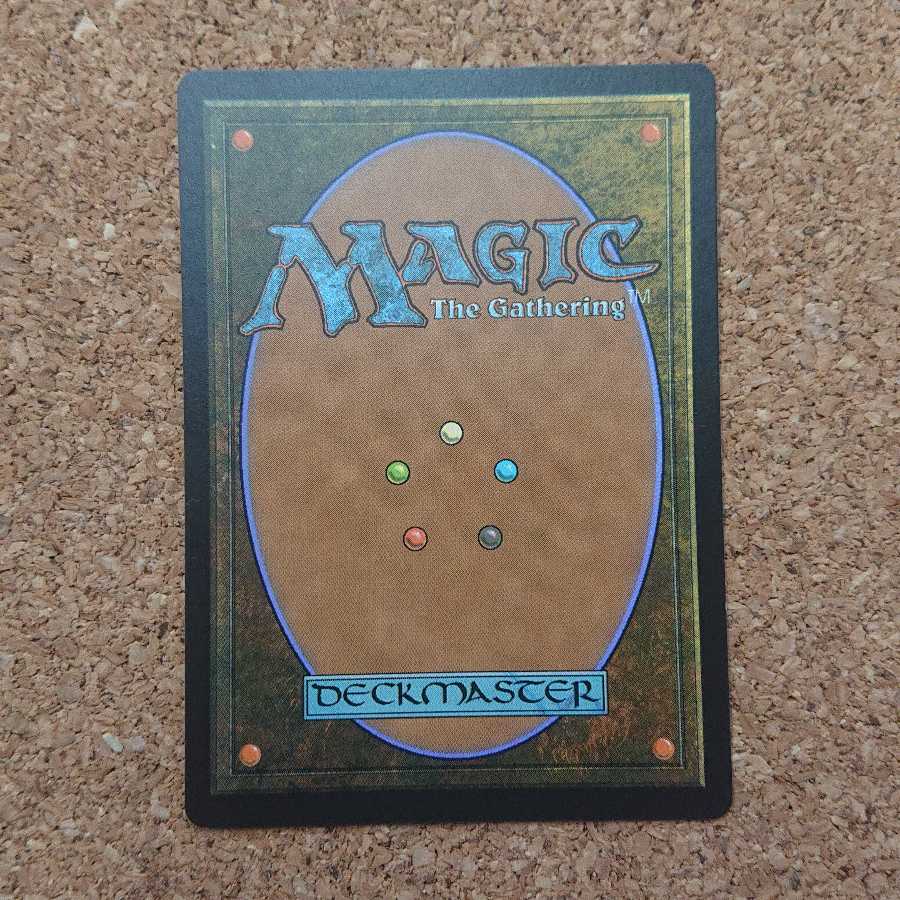 MTG Windswept Heath [KTK].