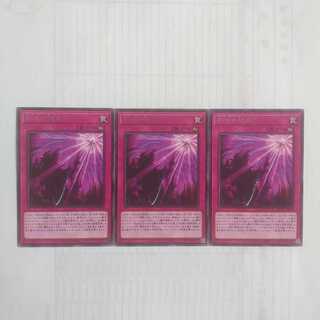 223 影依の偽典 3枚 鮭イクラ商店