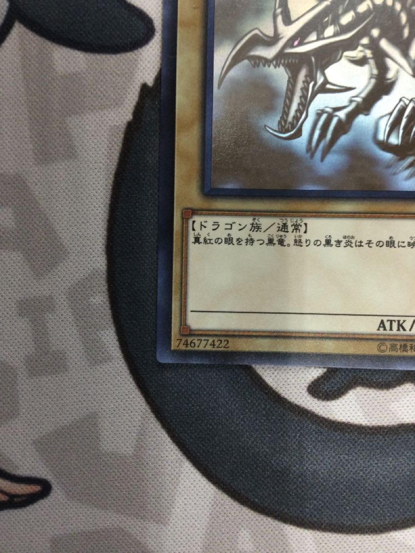 Red-Eyes Black Dragon Holographic Rare [06666-37].