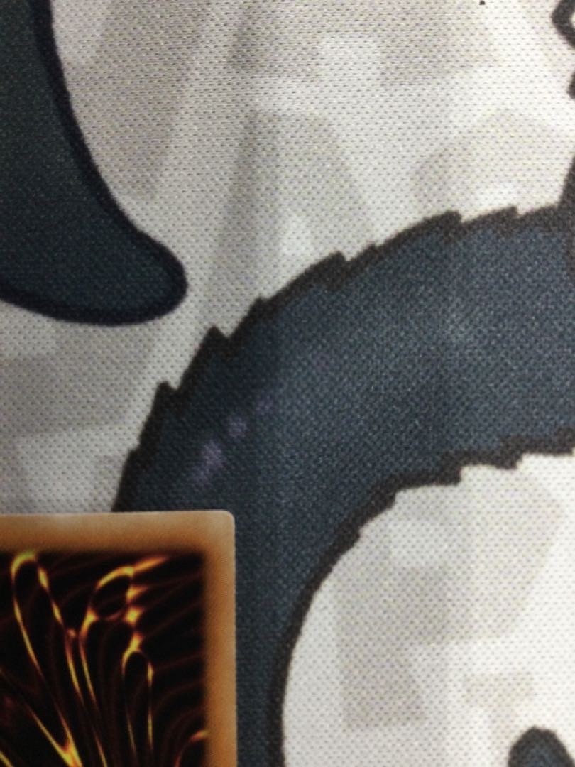 Red-Eyes Black Dragon Holographic Rare [06666-37].