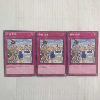 227 Back to the Front 3 pieces Salmon Salmon Salmon Salmon Ikura Shop