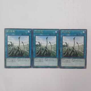 231 竜の霊廟 3枚 鮭イクラ商店