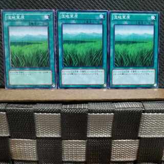 【ぽぽたん】遊戯王 2238   湿地草原 3枚セット