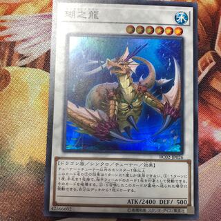 瑚之龍 スーパーレア