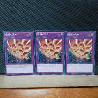 【ぽぽたん】遊戯王  4635 絶滅の定め 3枚セット
