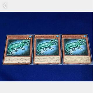 【ぽぽたん】遊戯王  3626 グレイドル・アリゲーター 3枚セット