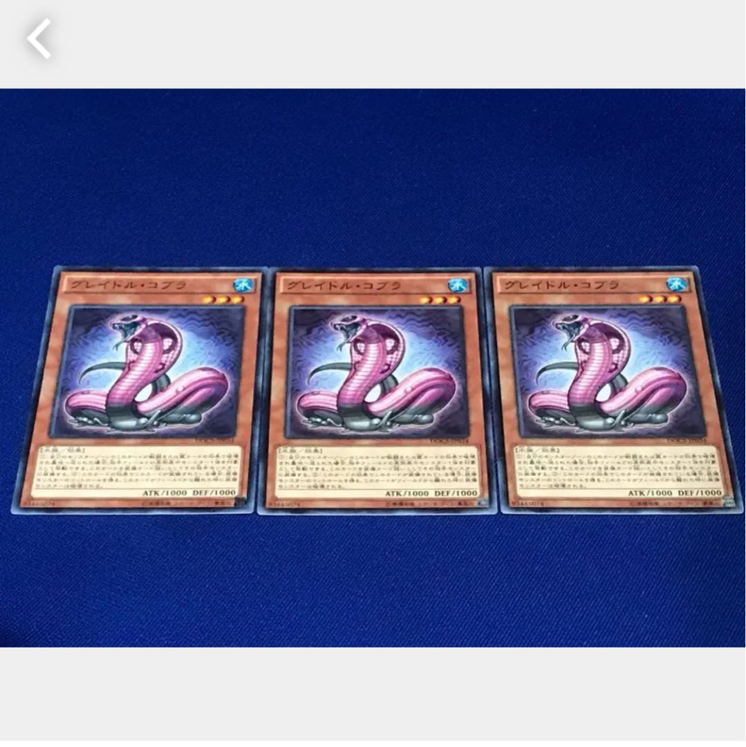 Popotan] Yu-Gi-Oh 2155 Graydle Cobra 3-Card Set