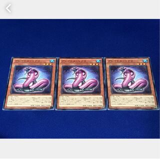 Popotan] Yu-Gi-Oh 2155 Graydle Cobra 3-Card Set