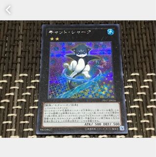 【ぽぽたん】遊戯王 キャット・シャーク シークレット