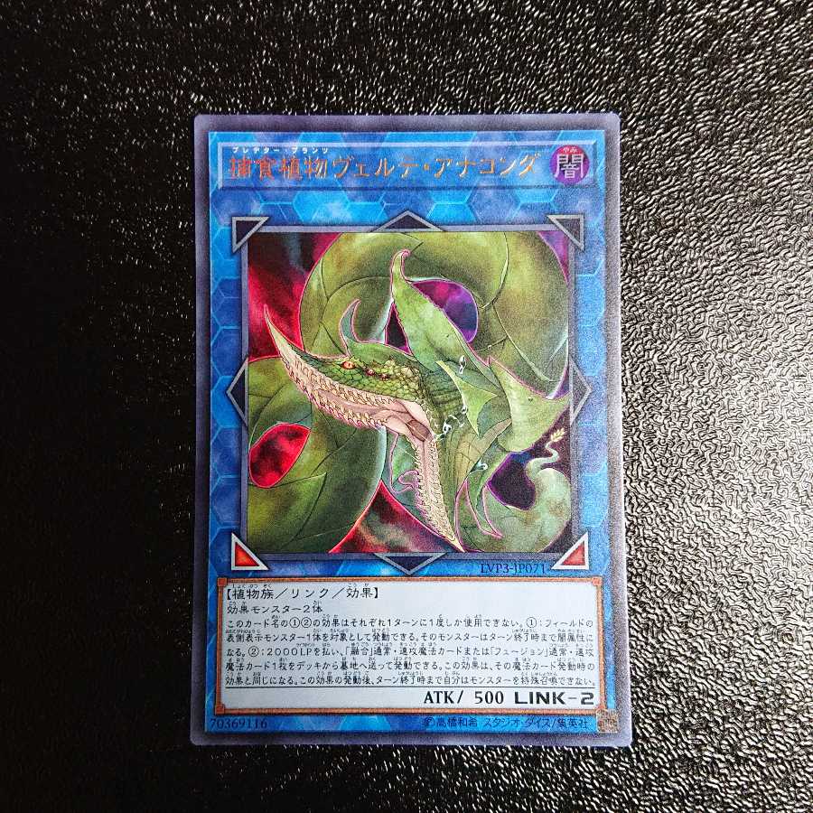 捕食植物ヴェルテ・アナコンダ ウルトラレア