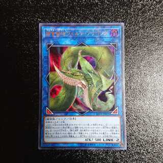 捕食植物ヴェルテ・アナコンダ ウルトラレア