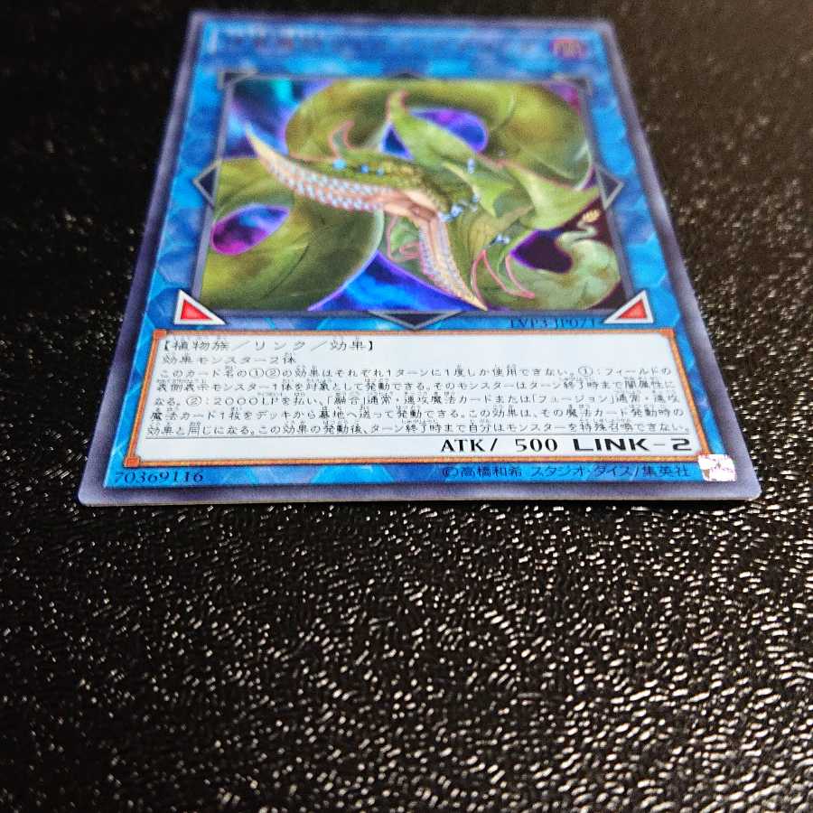 捕食植物ヴェルテ・アナコンダ ウルトラレア