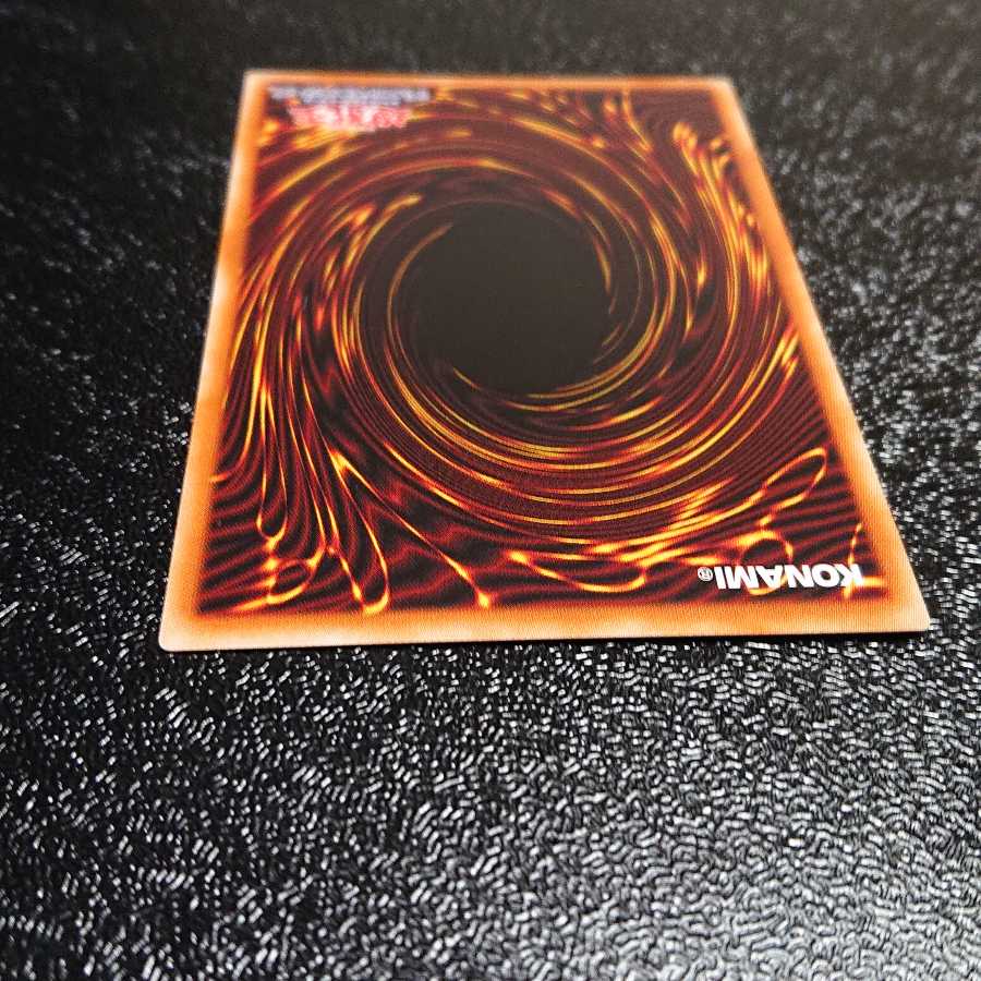 捕食植物ヴェルテ・アナコンダ ウルトラレア