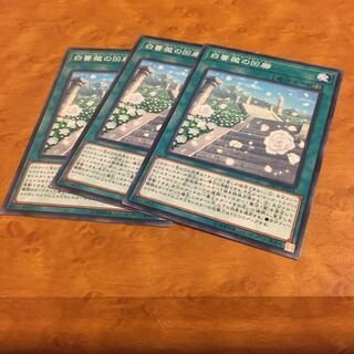 白薔薇の回廊 ノーマル