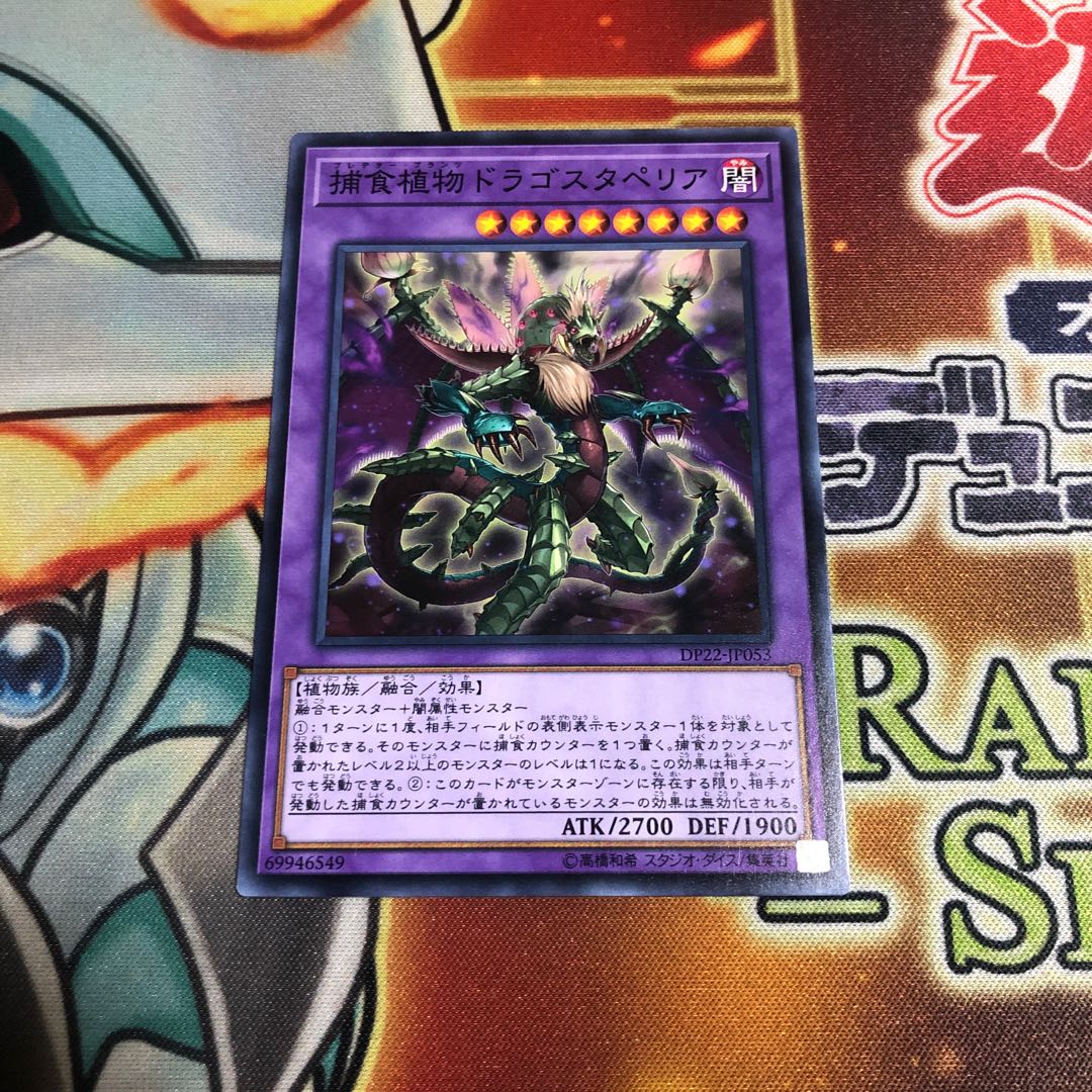 捕食植物ドラゴスタペリア ノーマル