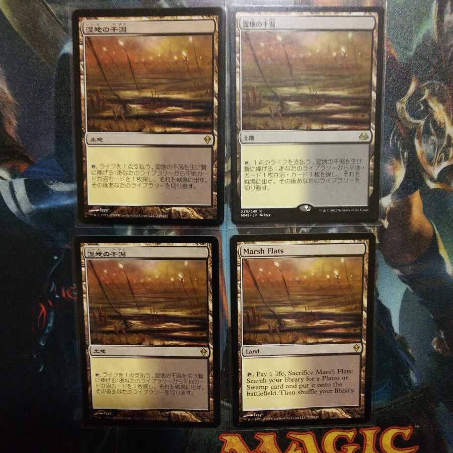 kikakuguy様専用湿地の干潟モダンマスターズ版 日１