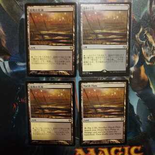 kikakuguy様専用湿地の干潟モダンマスターズ版 日１