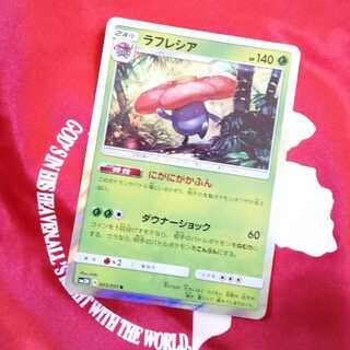 ラフレシア にがにがかふん