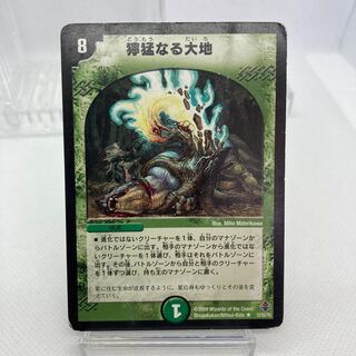 専用 ジゴクパルテノン 獰猛なる大地 ジャンク