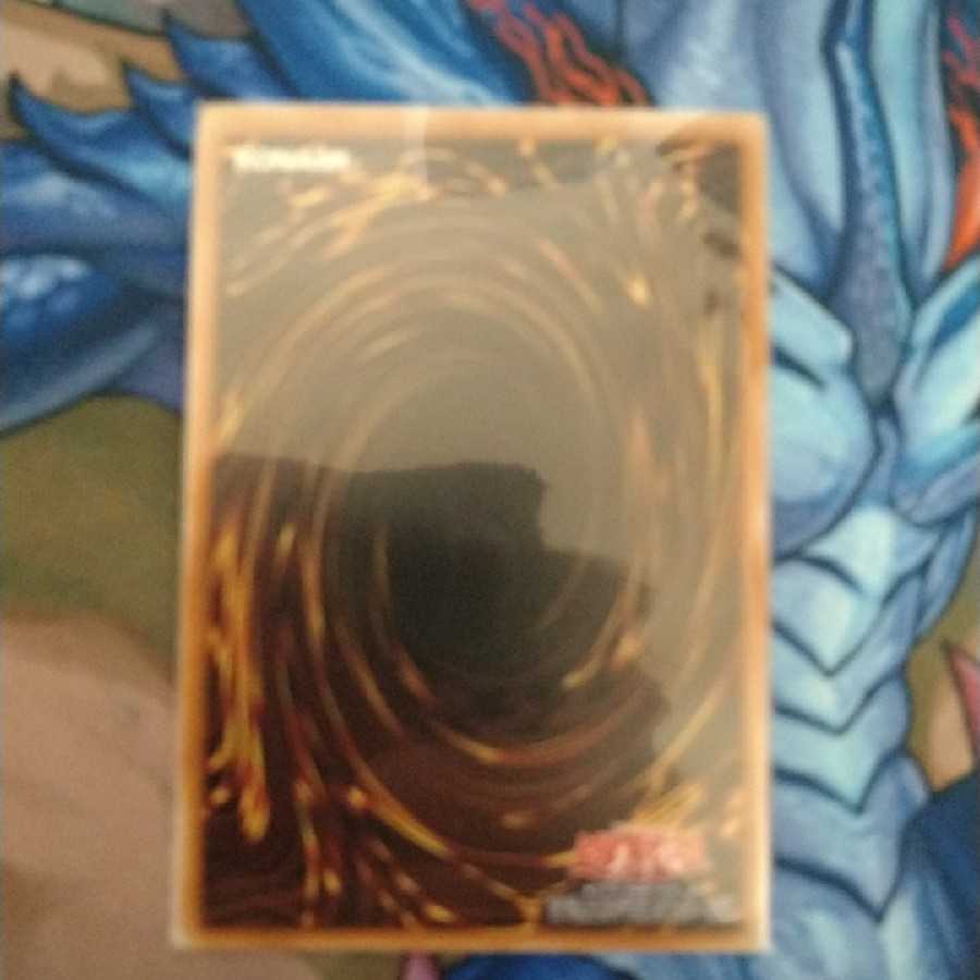 捕食植物ヴェルテ・アナコンダ ウルトラレア