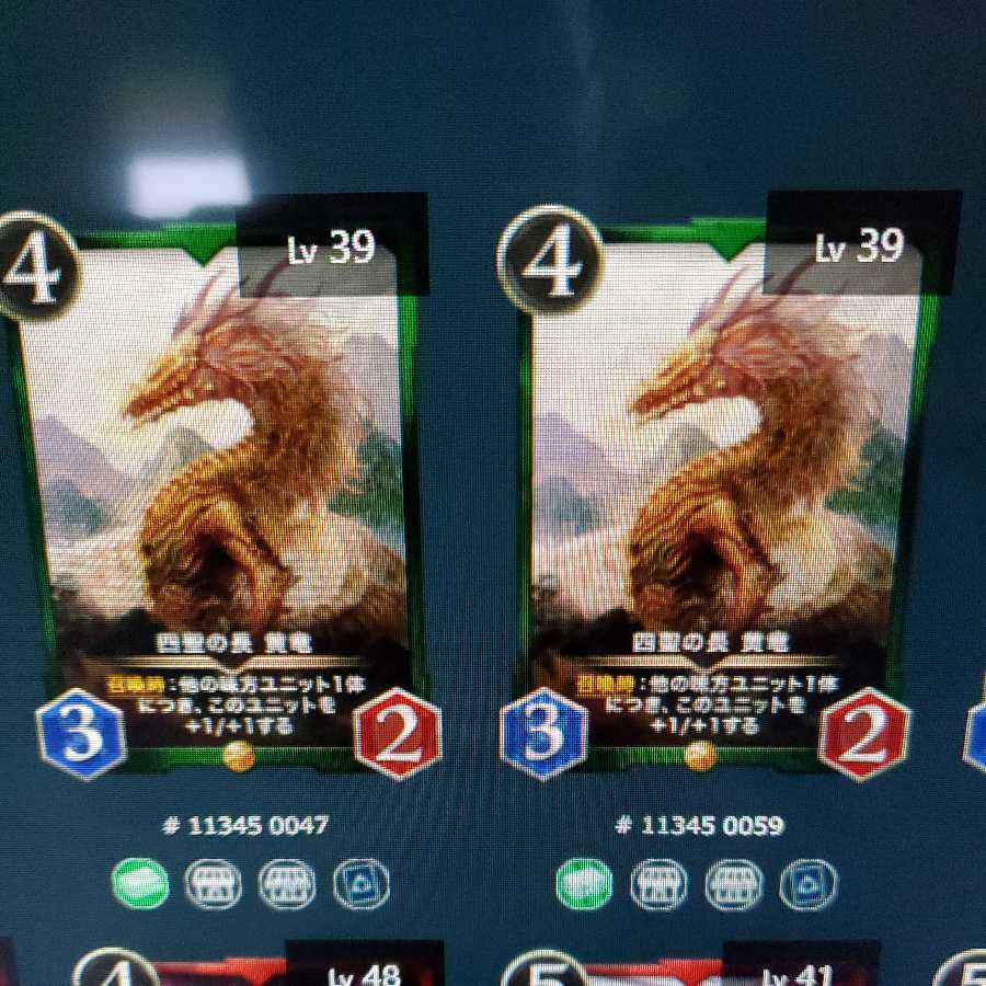 四聖の長黄龍2枚セット