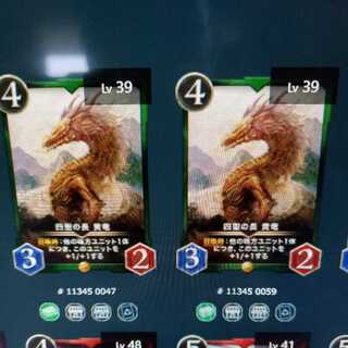 四聖の長黄龍2枚セット