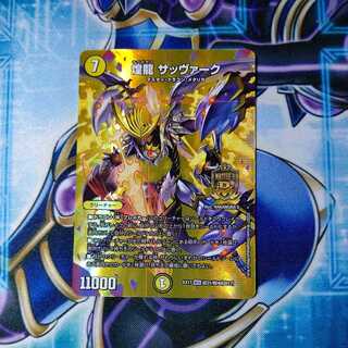 煌龍 サッヴァーク MDG