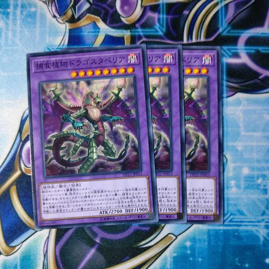 捕食植物ドラゴスタペリア ノーマル 3枚セット