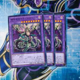 捕食植物ドラゴスタペリア ノーマル ３枚セット