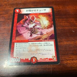 お騒がせチューザ　ねぎ塩様専用