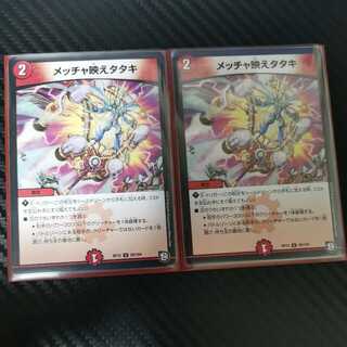 メッチャ映えタタキ 2枚