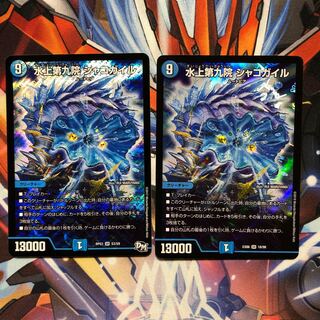 水上第九院 シャコガイル　2枚
