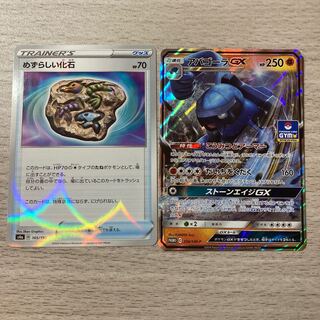 【特価】プロモアバゴーラGX  めずらしい化石