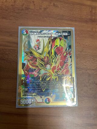 切札勝太&カツキング -熱血の物語- DSR