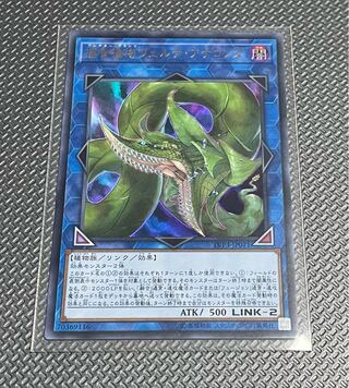 捕食植物ヴェルテ・アナコンダ ウルトラレア