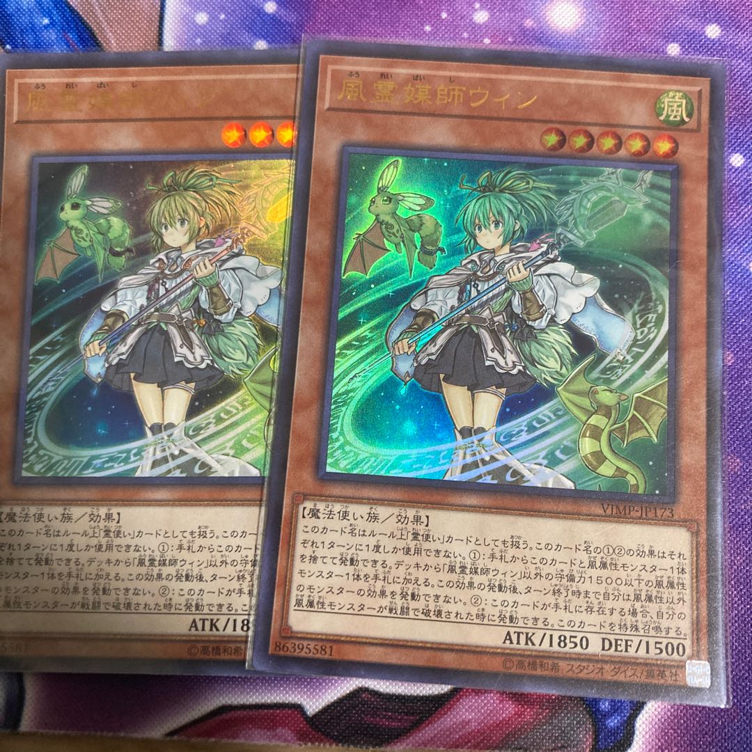 風霊媒師ウィン