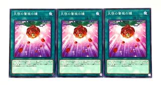 天啓の薔薇の鐘