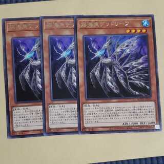 揺海魚デッドリーフ　3枚