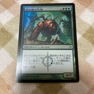 【MTG】絡み森の大長 日本語 foil 1枚