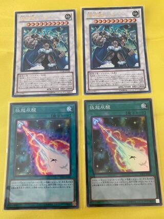 極神皇トールウル&極超辰醒スー 2枚セット