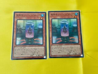 被検体ミュートリアM-05 スーパー 2枚セット