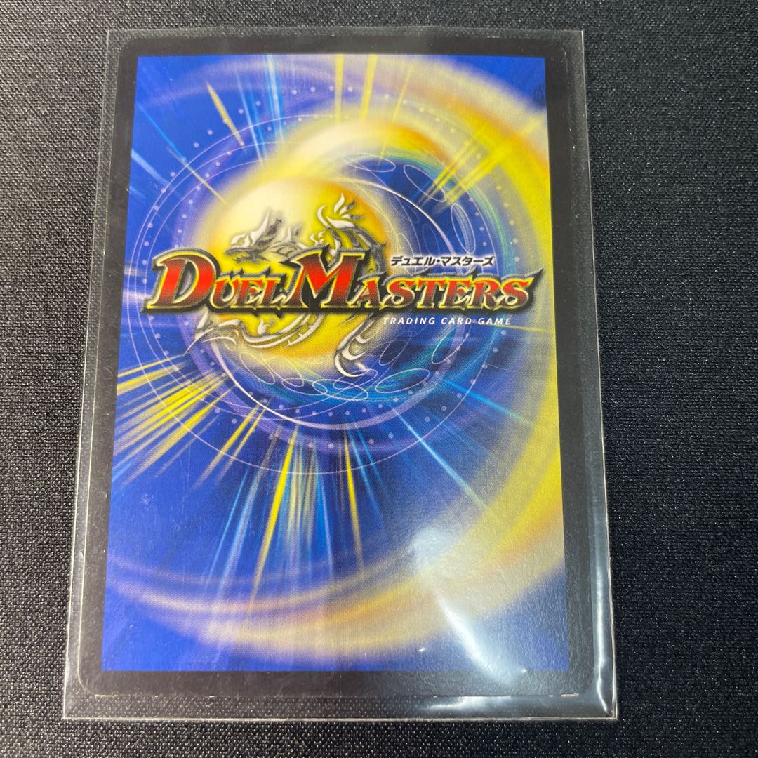 真・龍覇 ヘブンズロージア